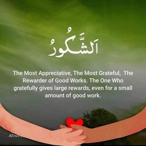 Meet your Posher, Hamida